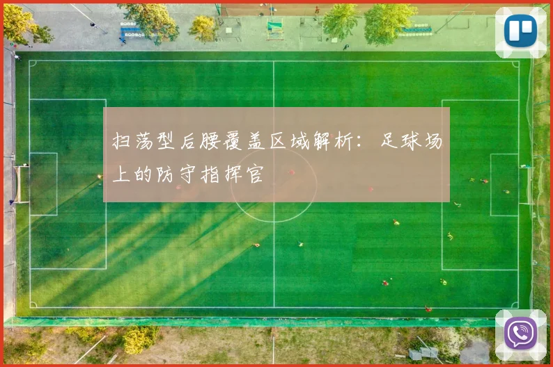 扫荡型后腰覆盖区域解析:足球场上的防守指挥官