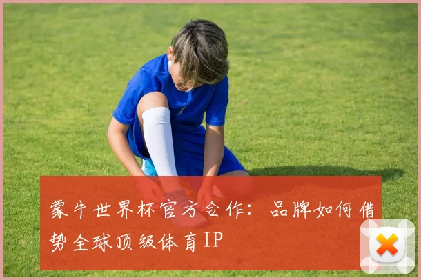 蒙牛世界杯官方合作：品牌如何借势全球顶级体育IP