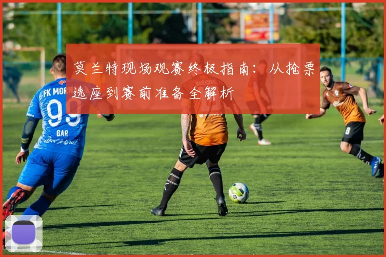 莫兰特现场观赛终极指南：从抢票选座到赛前准备全解析
