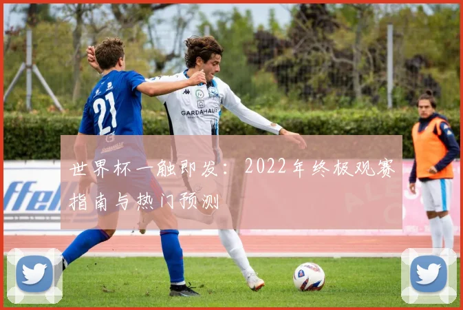 世界杯一触即发：2022年终极观赛指南与热门预测
